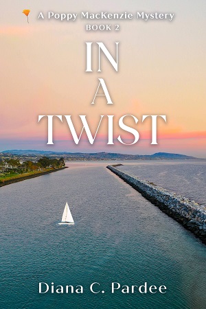 IN A Twist Cover